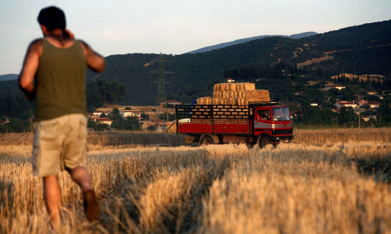 ΟΠΕΚΕΠΕ: Παράταση μέχρι τις 20 Οκτωβρίου για τις δηλώσεις ΑΤΑΚ στην ΕΑΕ 2025