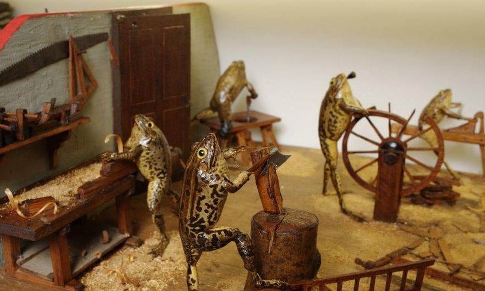 Τα 20 πιο παράξενα μουσεία της Ευρώπης – Από ταριχευμένους βατράχους μέχρι εκθέσεις για υπονόμους