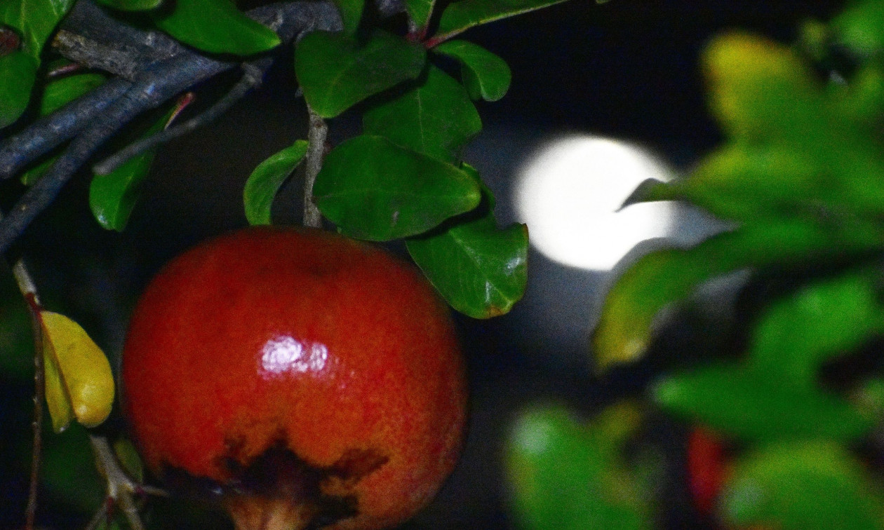 Τα μάτια στον ουρανό – Λάμπει η υπερπανσέληνος του Οκτωβρίου – Γιατί λέγεται Φεγγάρι της Συγκομιδής