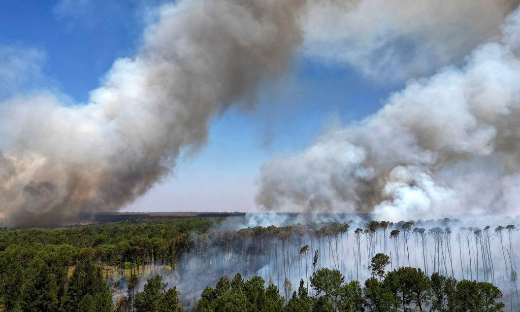 Οι πυρκαγιές – ρεκόρ στον Αμαζόνιο το 2024 προκάλεσαν πρωτοφανείς εκπομπές διοξειδίου του άνθρακα