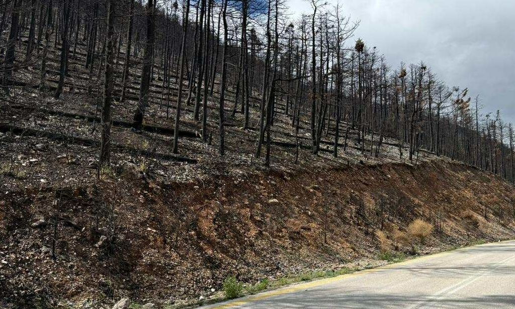 Σε πλήρη εξέλιξη έργα στα πυρόπληκτα της Κορινθίας – σε χρόνο ρεκόρ έδρασε το ΥΠΕΝ