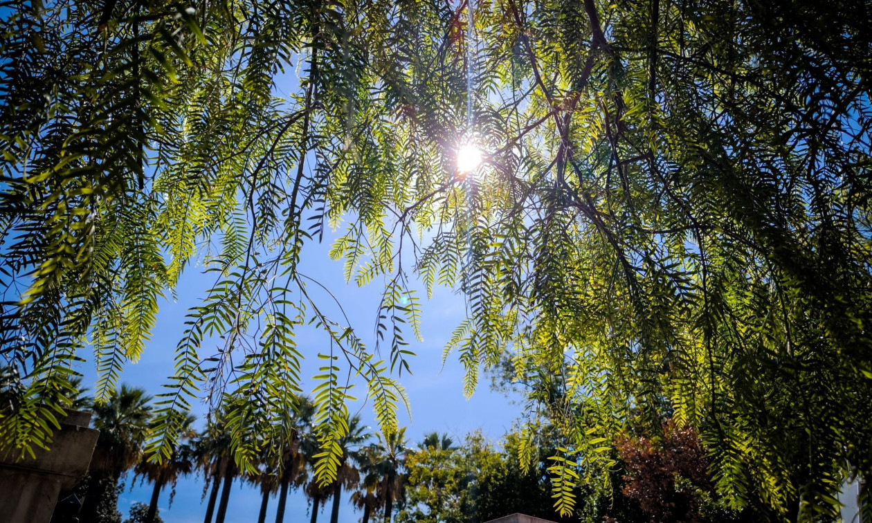 Κολυδάς: Τι είναι τα μικρά «καλοκαιράκια» μέσα στο φθινόπωρο – Πότε θα τελειώσουν