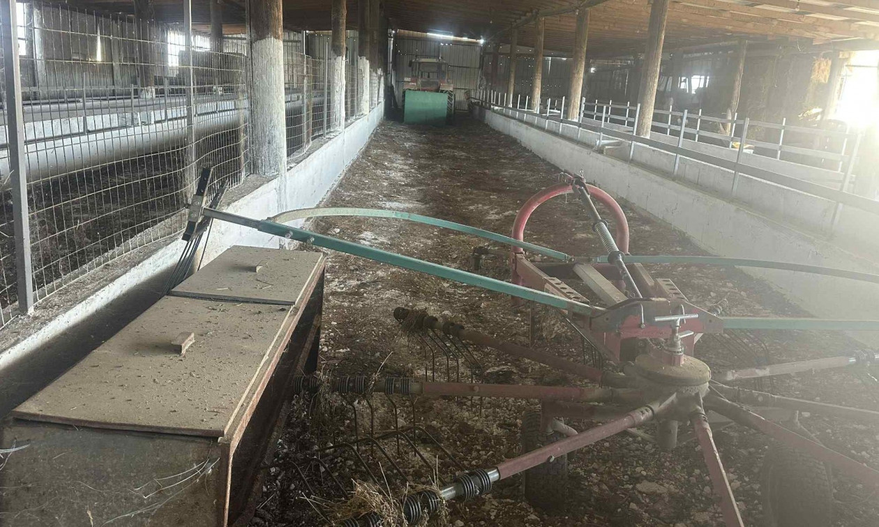 Σε απόγνωση οι κτηνοτρόφοι της Θεσσαλίας – Έκτακτη συνεδρίαση στον Τύρναβο