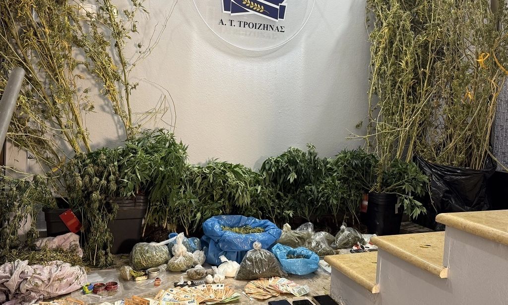 Τροιζηνία: Εξαρθρώθηκε εγκληματική οργάνωση καλλιέργειας και διακίνησης κάνναβης