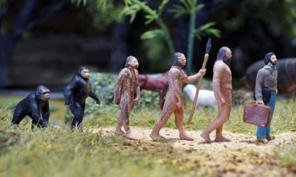 Παρανθρώποι: Οι αρχαίοι πρόγονοι που άλλαξαν την ιστορία των εργαλείων»