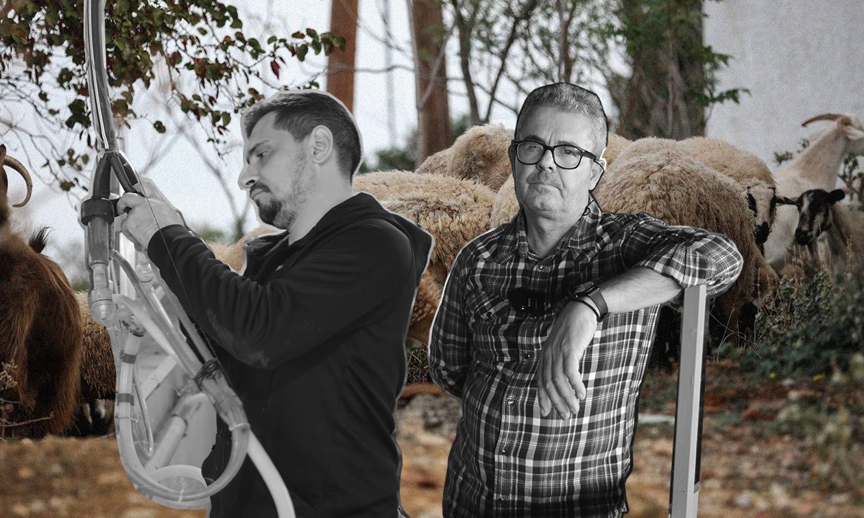«Η σφαγή των αμνών» μετά την ευλογιά: Αυτοψία του Newsbomb στη Θεσσαλία – Τι λένε οι κτηνοτρόφοι