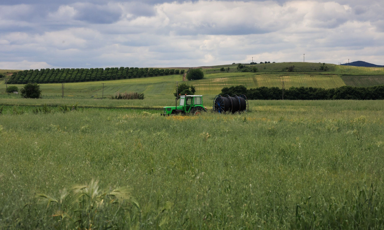 ΟΠΕΚΕΠΕ: Στα 268 εκατ. ευρώ ο προϋπολογισμός της εξισωτικής αποζημίωσης παραγωγών για το 2025