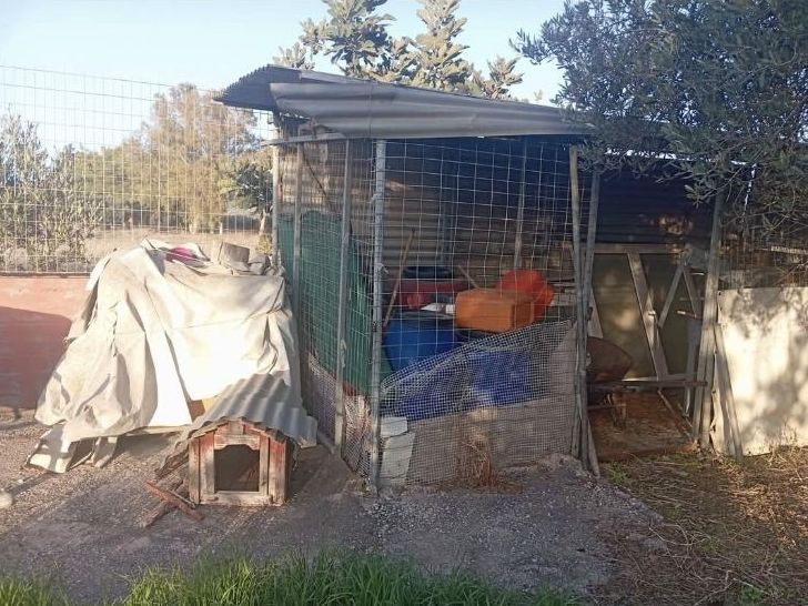 «Απαγορεύονται οι πεθερές»: Η… κουζουλή αγγελία για σπίτι στα Χανιά