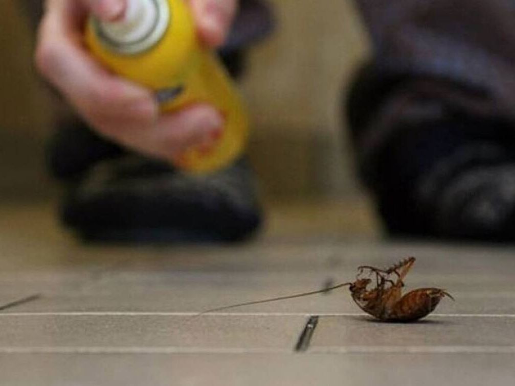 Νότια Κορέα: Γυναίκα έβαλε φωτιά στο διαμέρισμά της ενώ προσπαθούσε να σκοτώσει μια κατσαρίδα