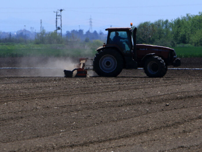 1688908-opekepe-agrotes.jpg