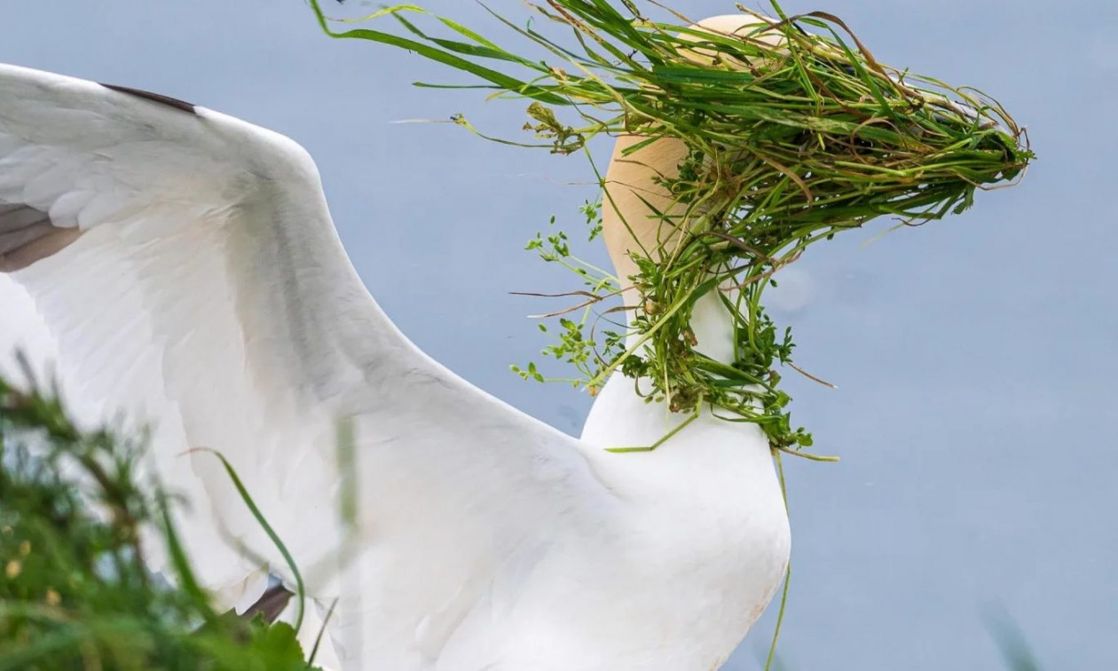 Τα Comedy Wildlife Awards ανακοίνωσαν τους 40 φιναλίστ – Δείτε τις ξεκαρδιστικές φωτογραφίες