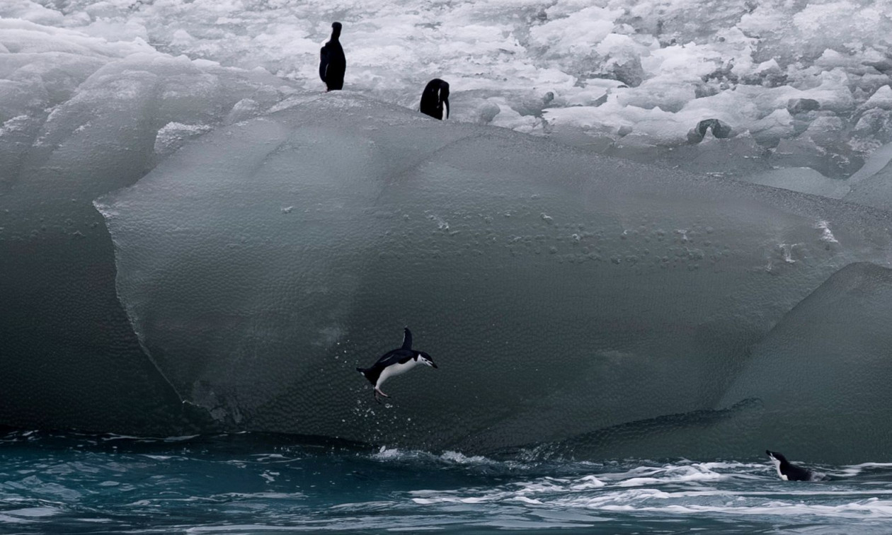 Σύλληψη Ουκρανού επιστήμονα από τη Ρωσία στην Ανταρκτική προκαλεί διεθνή ένταση