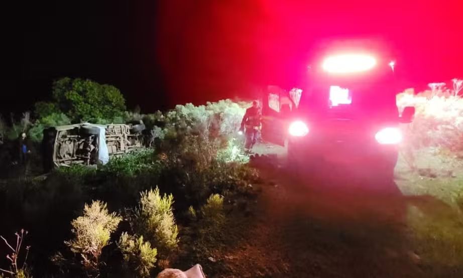 Βραζιλία: Μέλισσες τσιμπούν μέχρι θανάτου πατέρα και κόρη, αφού έριξαν φορτηγό σε κυψέλη