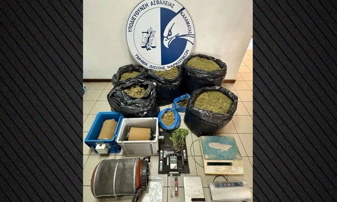 Μεσσηνία: Σύλληψη για παραβίαση της άδειας για βιομηχανική κάνναβη – Θα έβγαζε 75.000 ευρώ