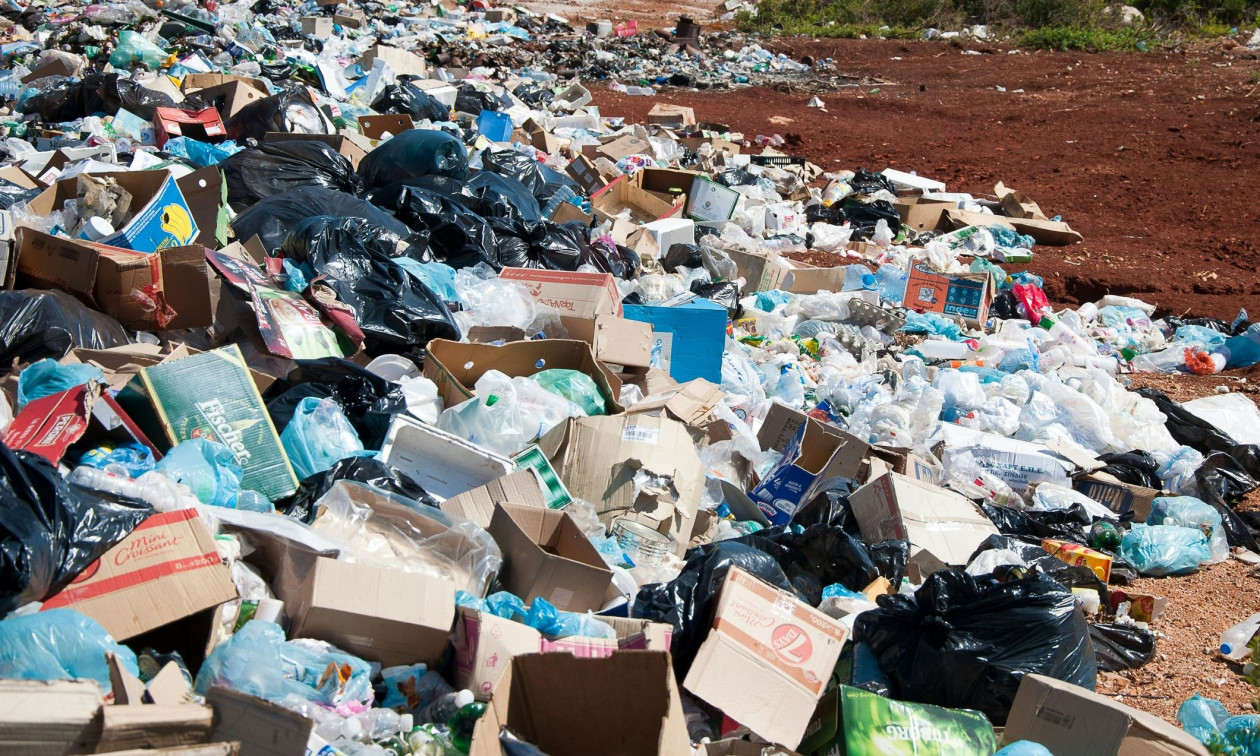 Κομοτηνή: Έντονη ανησυχία από νεκρά ζώα που βρέθηκαν στον Ίασμο