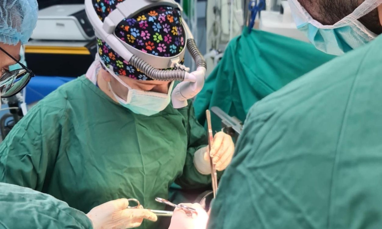 Γυναίκα γιατρός έκανε για πρώτη φορά στην Ελλάδα μεταμόσχευση ήπατος – Ποια είναι η Ελένη Καρακάση