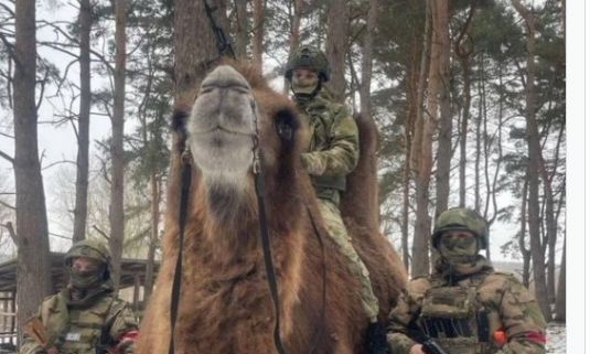 Ουκρανία: Άλογα, γαϊδούρια, αλλά και… καμήλες στον πόλεμο – Βίντεο
