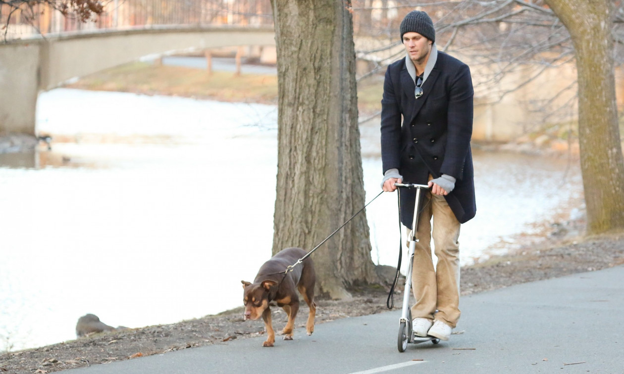 Ο Tom Brady ανακοίνωσε ότι ο νέος σκύλος του είναι κλώνος του προηγούμενου – «Αγαπώ τα ζώα μου»