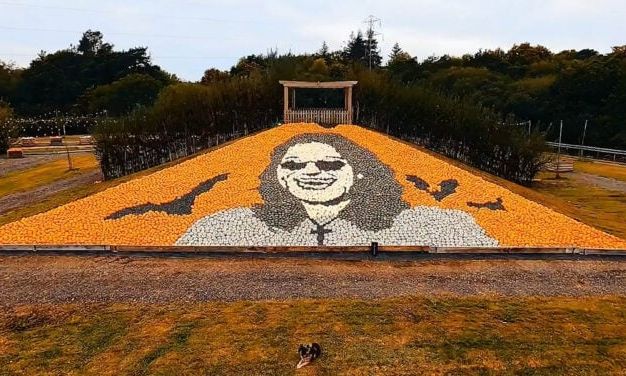 Όζι Όσμπορν: Ρεκόρ Γκίνες για το μεγαλύτερο μωσαϊκό από κολοκύθες – Φόρος τιμής στον τραγουδιστή