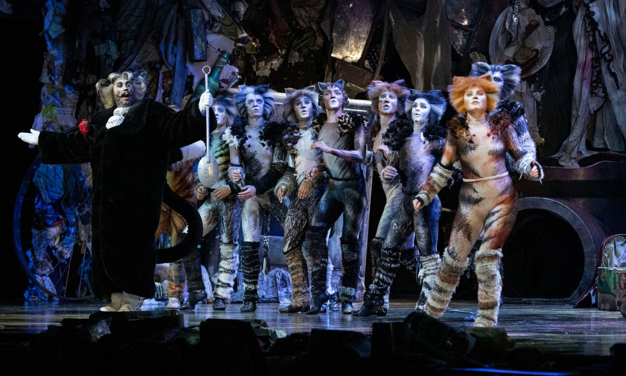Η Μνήμη ζωντανεύει ξανά – Το «Cats» επιστρέφει σε Αθήνα και Θεσσαλονίκη