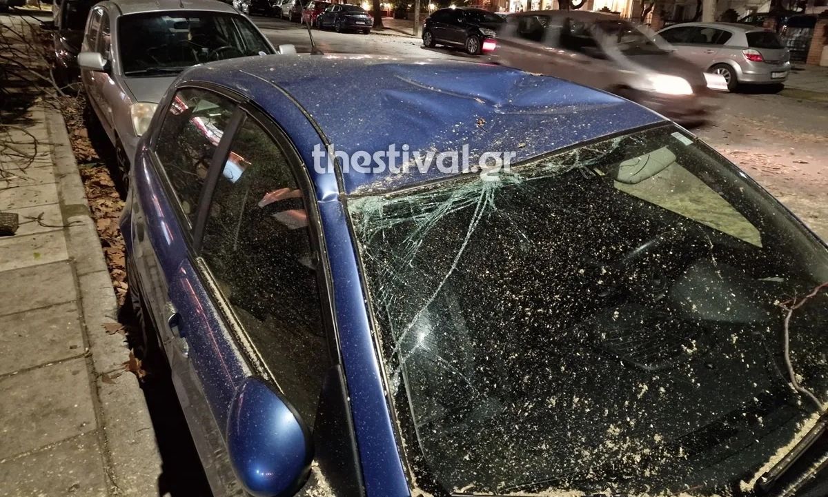 Θεσσαλονίκη: Έπεσε δέντρο και καταπλάκωσε σταθμευμένα αυτοκίνητα στην Τούμπα