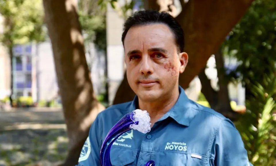 Καρχαρίας δάγκωσε στο κεφάλι βιολόγο και τον άφησε να φύγει: «Ελπίζω να τον ξανασυναντήσω»