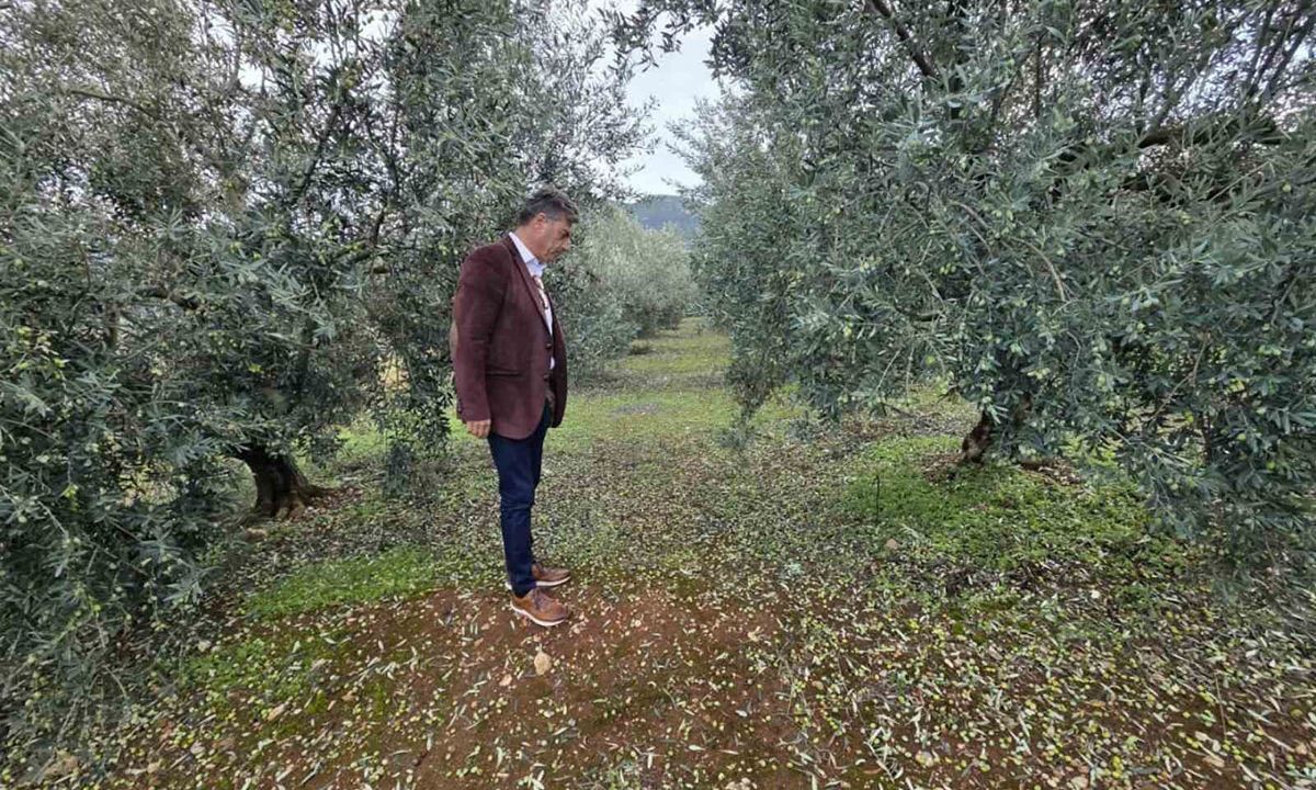 Σε «ανοιχτή γραμμή» η Περιφέρεια Πελοποννήσου με τον ΕΛΓΑ μετά τη σφοδρή χαλαζόπτωση