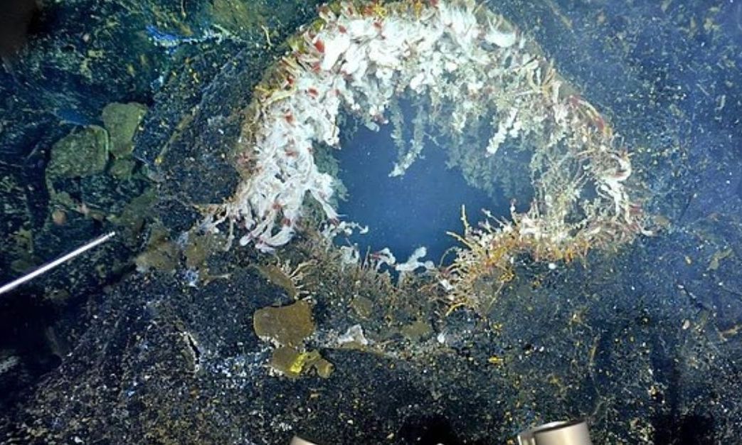 Υποθαλάσσιο ηφαίστειο στις ΗΠΑ ετοιμάζεται να εκραγεί – Και οι συνέπειες είναι ανυπολόγιστες