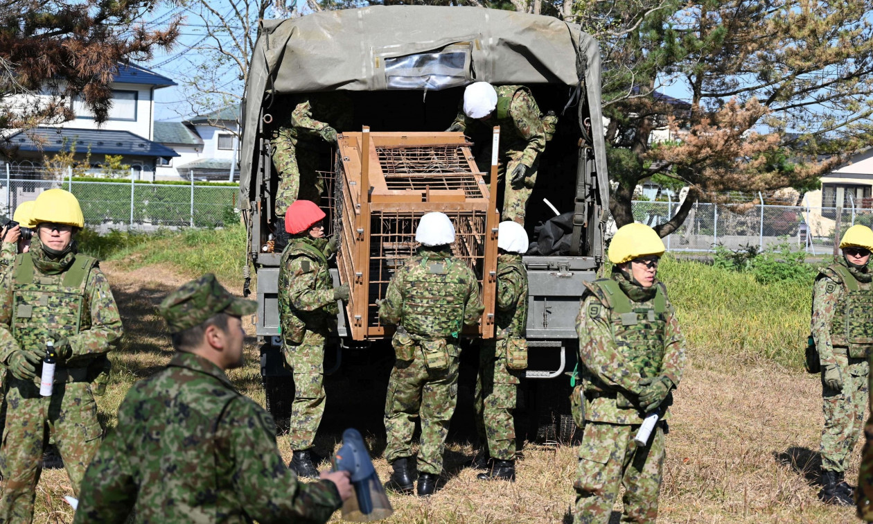 Άδεια να πυροβολούν αρκούδες έλαβαν οι αστυνομικοί στην Ιαπωνία