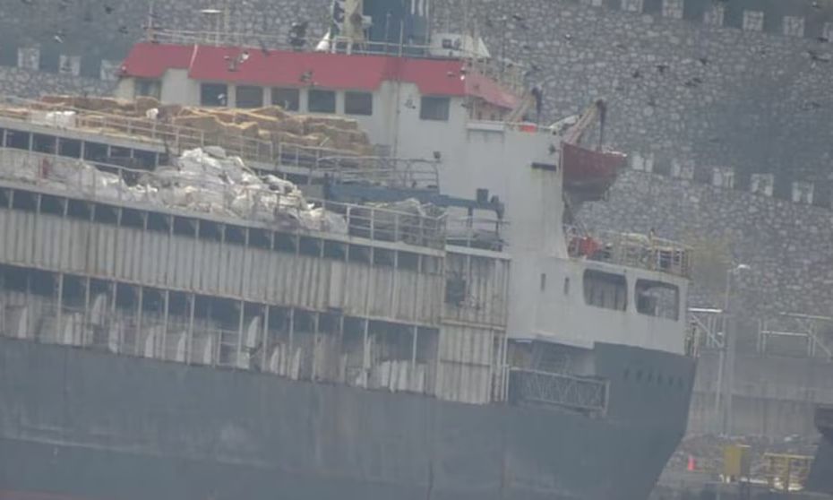 Τουρκία: Σχεδόν 3.000 αγελάδες εγκλωβισμένες σε πλοίο εδώ και 3 εβδομάδες, χωρίς νερό και τροφή