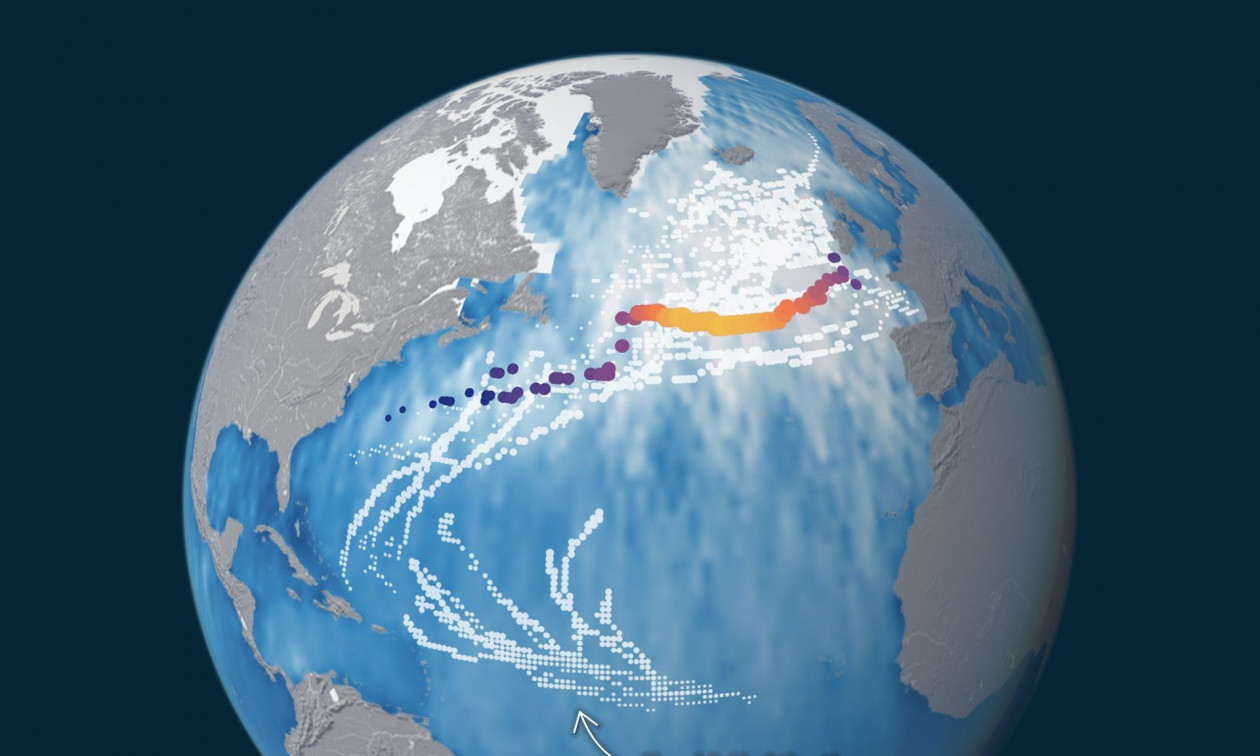Δορυφόροι καταγράφουν κύματα ρεκόρ 20 μέτρων στη μεγα-θύελλα του Ειρηνικού