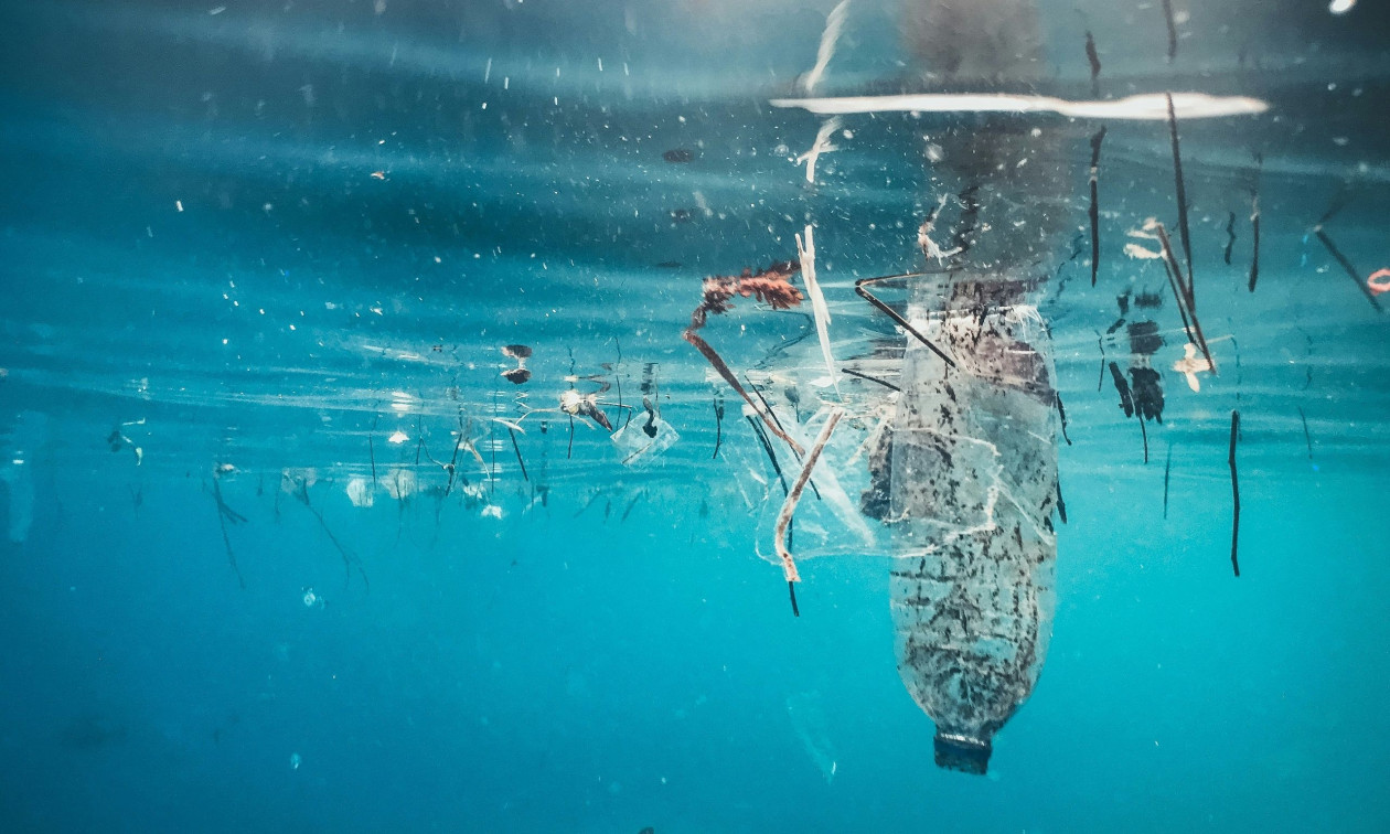 Ρύπανση: Ελάχιστο πλαστικό αρκεί για να σκοτώσει θαλάσσια ζώα – Τρομακτικά τα ευρήματα νέας μελέτης