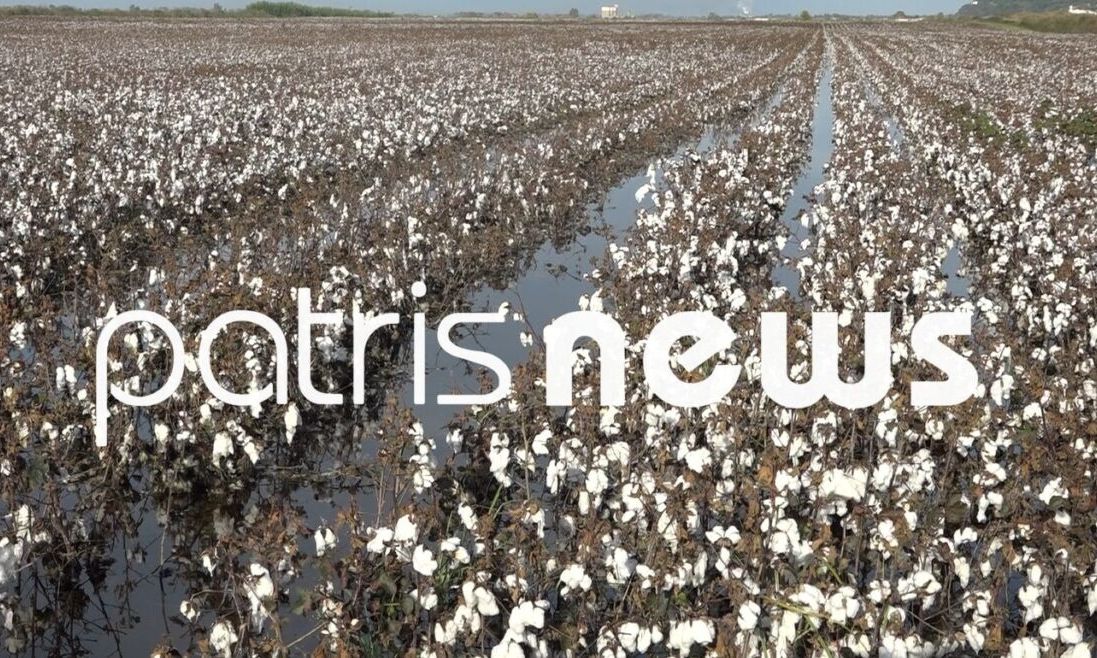 Ηλεία: Οι έντονες βροχοπτώσεις πλημμύρισαν (ξανά) την πρώην λίμνη Αγουλινίτσας – Βίντεο