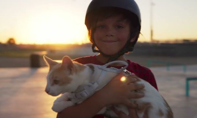 Το γενναίο αγόρι που έσωσε ένα αβοήθητο γατάκι – Τιμήθηκε ως «Παιδί της Χρονιάς»