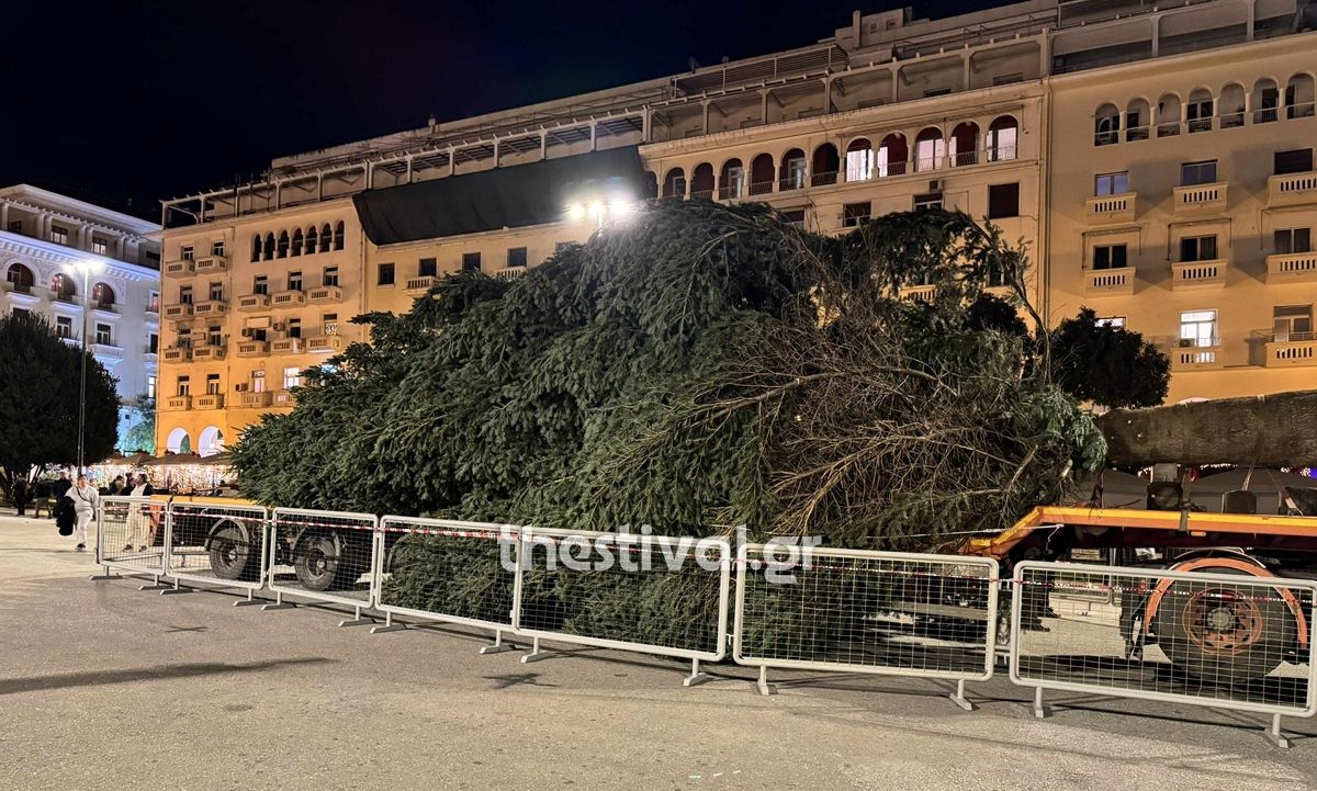 Θεσσαλονίκη: Έφτασε στην πλατεία Αριστοτέλους το χριστουγεννιάτικο έλατο ύψους 18 μέτρων – Βίντεο