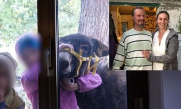 Ιταλία: Δικαστήριο πήρε τα παιδιά από οικογένεια που ζούσε στο δάσος – Πολιτικές προεκτάσεις