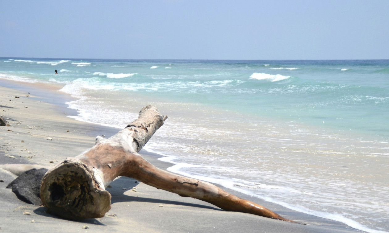 Ωκεανοί… SOS: Η Μεσόγειος ένα από τα κύρια hotspot του κόσμου – Η τριπλή πλανητική κρίση