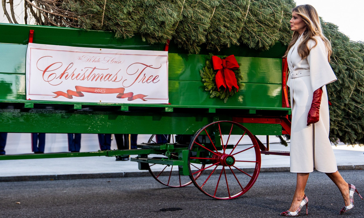 Η Μελάνια Τραμπ παρέλαβε το χριστουγεννιάτικο δέντρο στον Λευκό Οίκο – Δείτε φωτογραφίες
