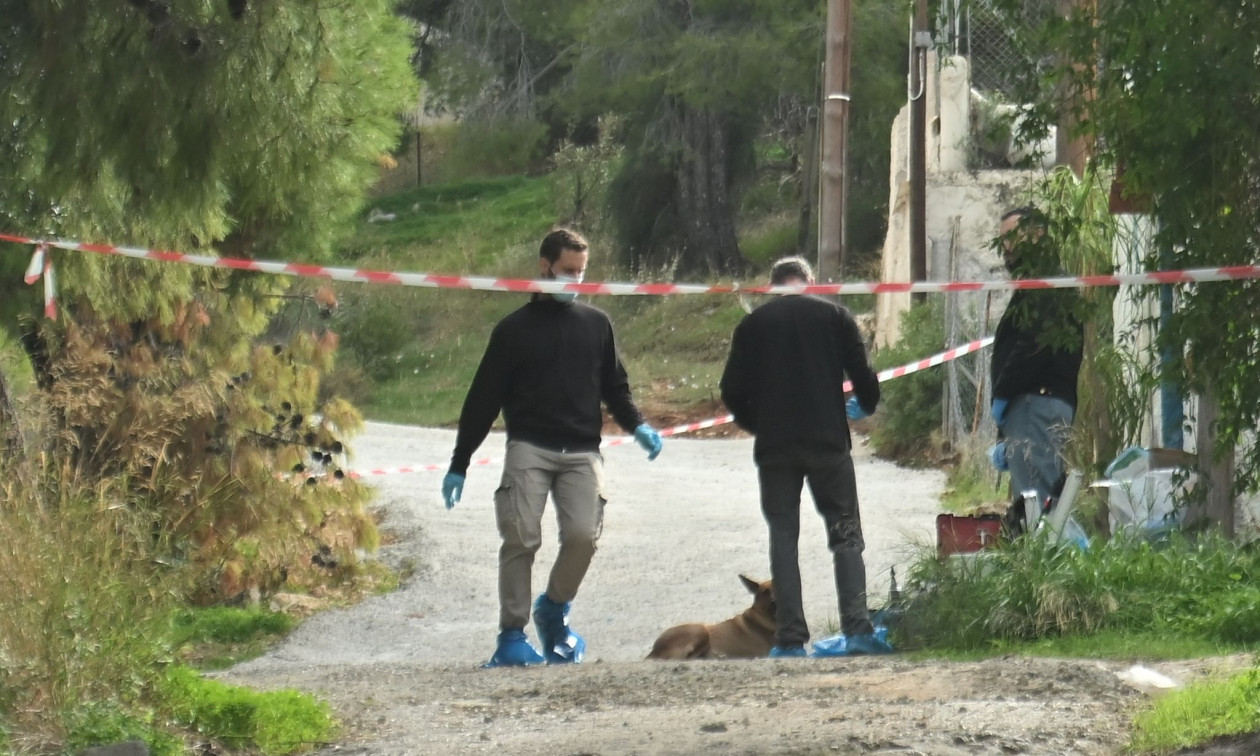 Δραματική ανατροπή στην άγρια δολοφονία στη Σαλαμίνα: Τη σκότωσε με σφυρί η νύφη της