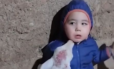 Μωρό «εγκλωβίστηκε» μεταξύ μικρών αρνιών και τοίχου και έγινε viral – Δείτε το βίντεο