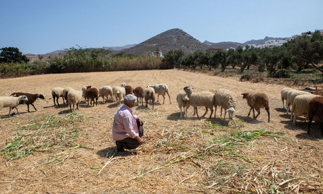 ΟΠΕΚΕΠΕ: Οριστικό τέλος στην «τεχνική λύση» – Νέο πλαίσιο