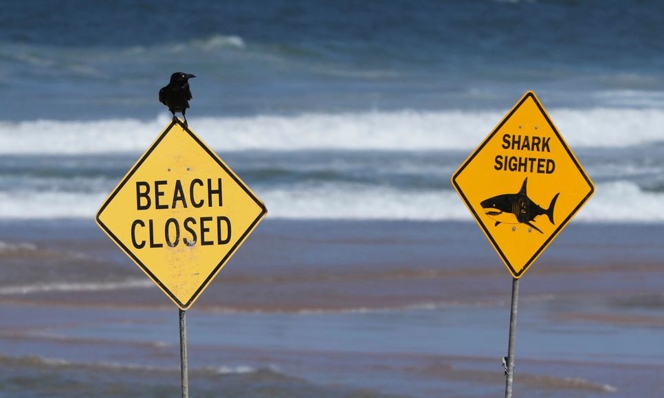 Αυστραλία: Καρχαρίας κατασπάραξε 20χρονη γυναίκα που κολυμπούσε σε απομακρυσμένη παραλία