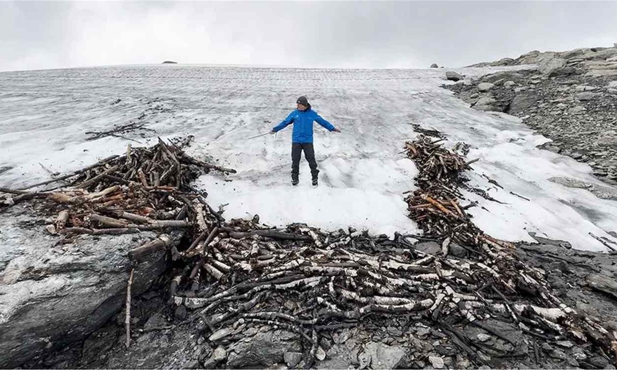 Νορβηγία: Ανακαλύφθηκε ξύλινη παγίδα σύλληψης ταράνδων από την Εποχή του Σιδήρου