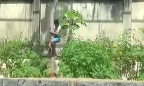 Βραζιλία: Τον έφαγε ζωντανό μπροστά στα μάτια των επισκεπτών – 19χρονος μπήκε σε κλουβί με λιοντάρι