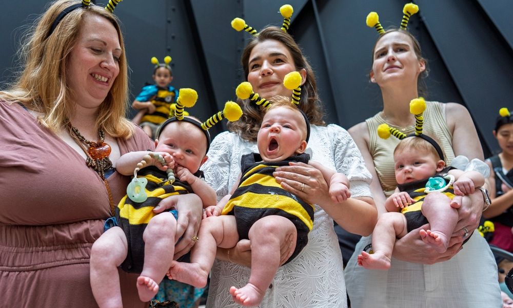 Explainer: Πώς λειτουργούν οι «λογαριασμοί Τραμπ» για τα νεογέννητα και ποιος θα ωφεληθεί;