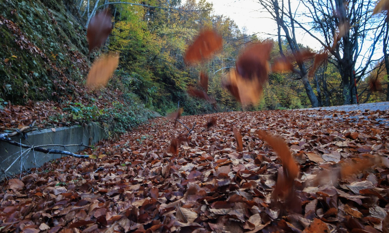 «Υφέρπουσα καταστροφή»: Η κλιματική αλλαγή οδηγεί σε αύξηση των μολυσματικών ασθενειών