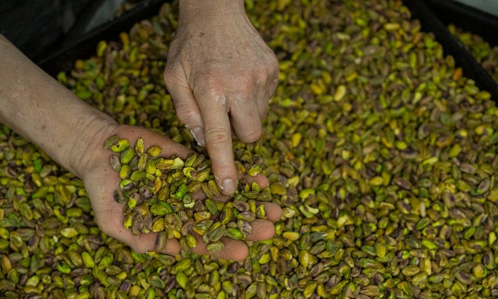 Φυστίκια, ο νέος «πράσινος χρυσός» λόγω… Dubai Chocolate – Η Αργεντινή ποντάρει στη νέα «τρέλα»