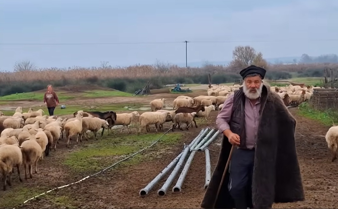 «Έλα ο μπαμπάς παθαίνει εγκεφαλικό»: Τα τελευταία νέα της υγείας του κτηνοτρόφου που κατέρρευσε