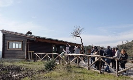 Δυο αετοί απελευθερώθηκαν στο Εθνικό Πάρκο του Δάσους της Δαδιάς – Φωτογραφία