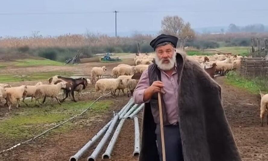 Συγκλονίζει ο Κώστας Θεοφίλου: «Τα πρόβατά μου γιατρεύτηκαν – Τζάμπα θα μου τα σκοτώσουν»